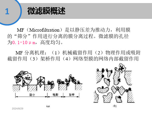 商品化微滤膜初步市场调研(1)