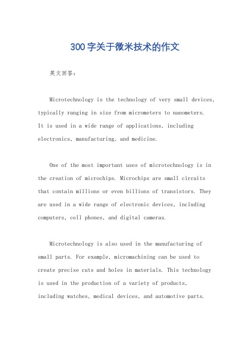 300字关于微米技术的作文