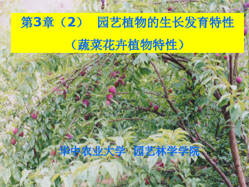 第3章(2)-园艺植物-蔬菜花卉的生长发育特性  华中农业大学园艺概论讲义