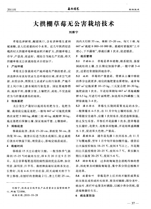 大拱棚草莓无公害栽培技术