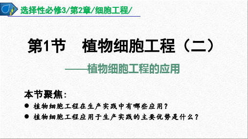 植物细胞工程的应用课件-高二生物人教版选择性必修3