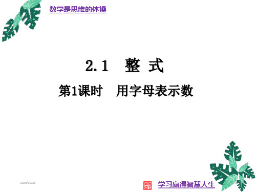 2.1整式(1)-人教版七年级数学上册课件(共19张PPT)