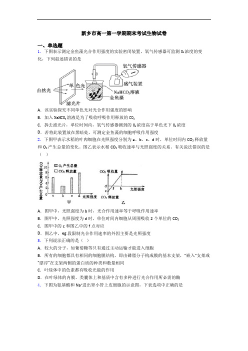 新乡市高一第一学期期末考试生物试卷