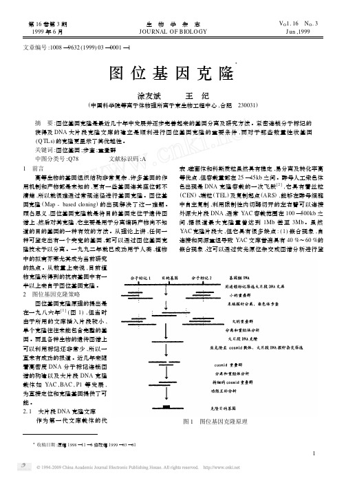 图位基因克隆