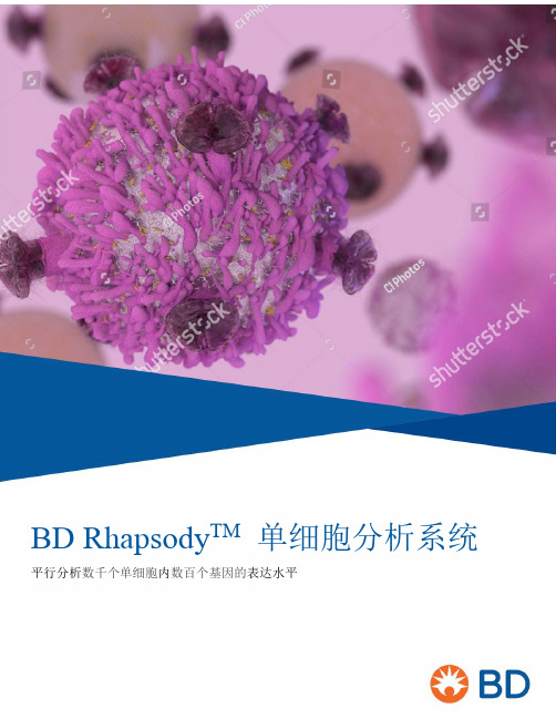 BDRhapsodyTM单细胞分析系统