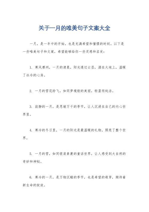 关于一月的唯美句子文案大全