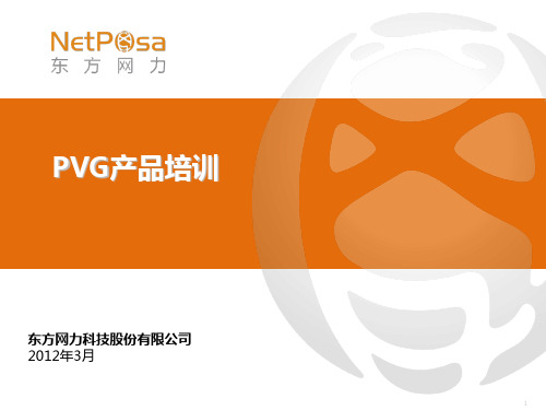 东方网力_PVG网络视频管理平台产品培训