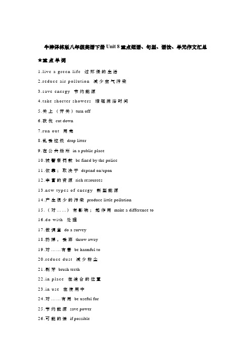 牛津译林版八年级英语下册Unit 8重点短语、句型、语法、单元作文汇总