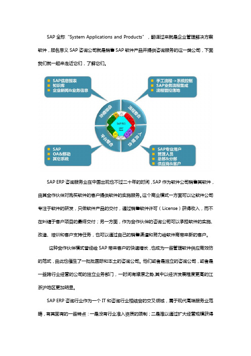 什么是SAP咨询公司