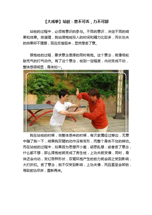 【大成拳】站桩：意不可丢，力不可卸