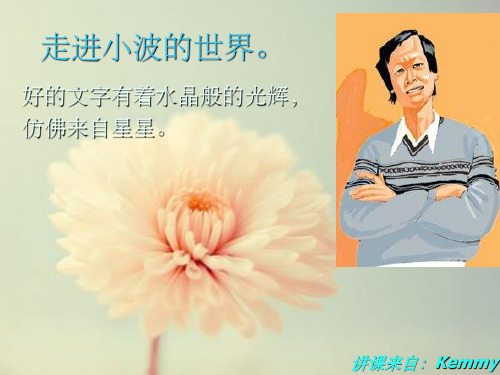 王小波讲课课件