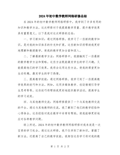 2024年初中数学教师网络研修总结