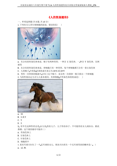 河南省永城市八年级生物下册7.2.4人的性别遗传综合训练无答案新版新人教版_278-