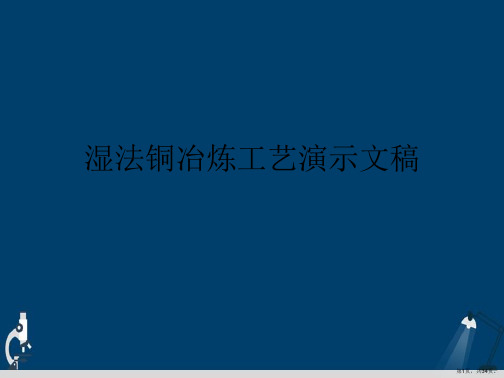 湿法铜冶炼工艺演示文稿