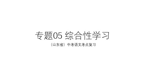 中考语文考点05综合性学习优秀PPT课件(20页)