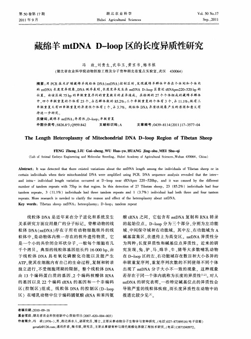 藏绵羊mtDNA D-loop区的长度异质性研究