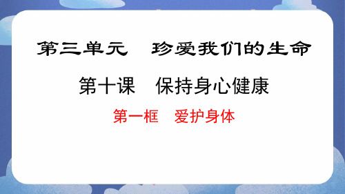 10.1 爱护身体-道德与法治七年级上册课件(统编版2024)