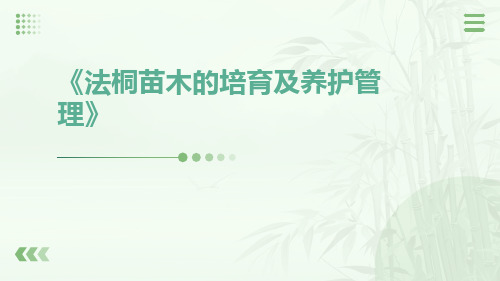 法桐苗木的培育及养护管理