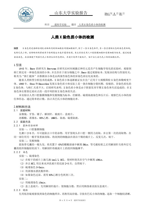 人类X染色质小体的检测 山东大学