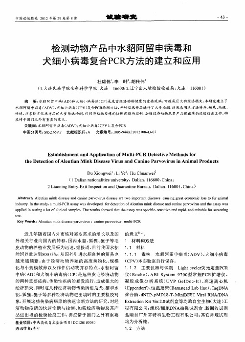 检测动物产品中水貂阿留申病毒和犬细小病毒复合PCR方法的建立和应用