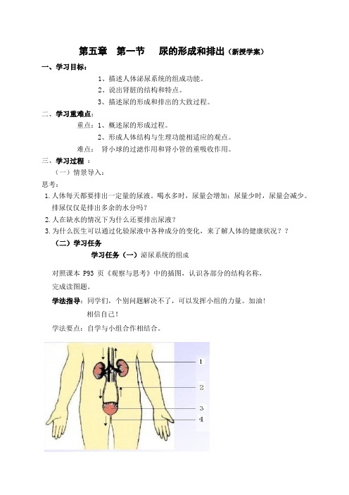 第五章  第一节   尿的形成和排出(新授学案)