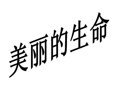 四年级上册品德与社会课件-美丽的生命 ppt【人教新课标】 37