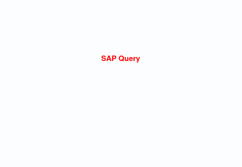 SAP-query详细手册PPT课件