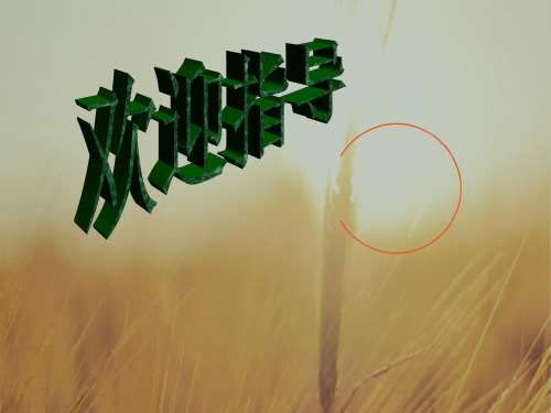 最新-八年级政治下册 竞争合作谋发展课件 陕教版 精品