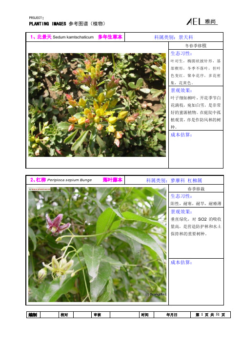 00东北植物参考图谱(灌木、地被)