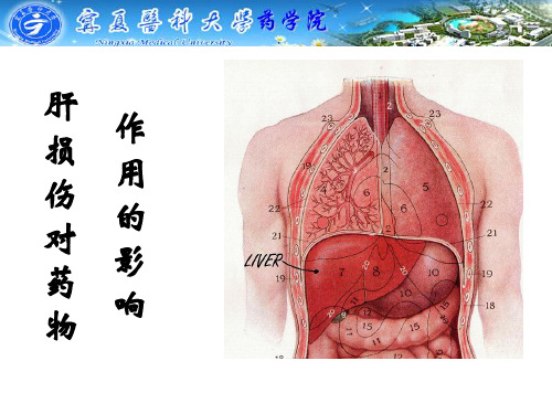 药理学系存档 - 肝脏功能对药物作用的影响+有机磷农药的中毒及解救