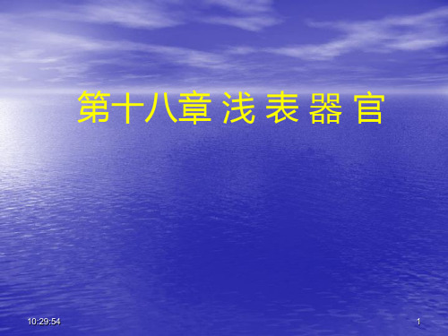 超声诊断学 小器官布加综合征