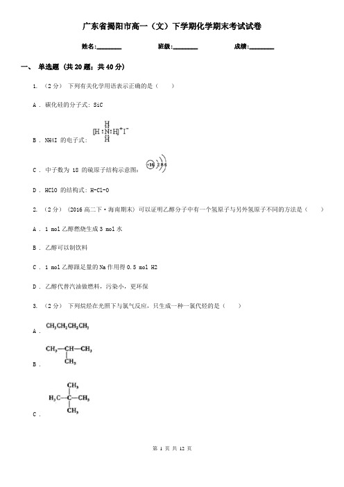 广东省揭阳市高一(文)下学期化学期末考试试卷