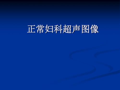 常规妇科超声切面