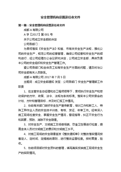 安全管理机构设置及任命文件