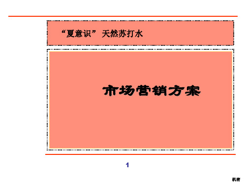 天然苏打水新产品营销全案