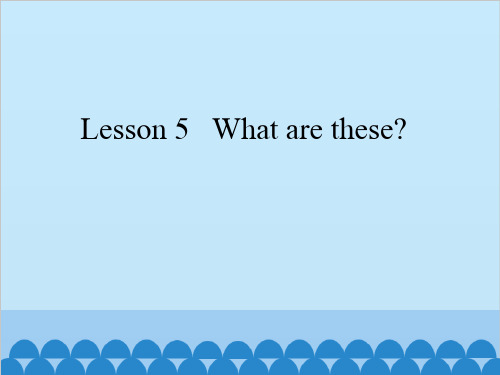 四年级下册英语-Lesson 5 What are these？ 科普版