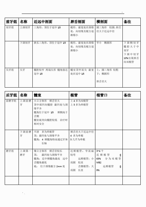 牙髓腔形态解剖