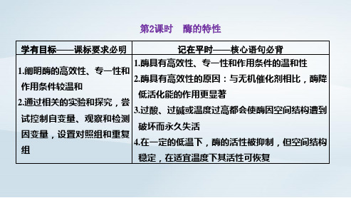 新教材高中生物第5章第2课时酶的特性pptx课件新人教版必修1