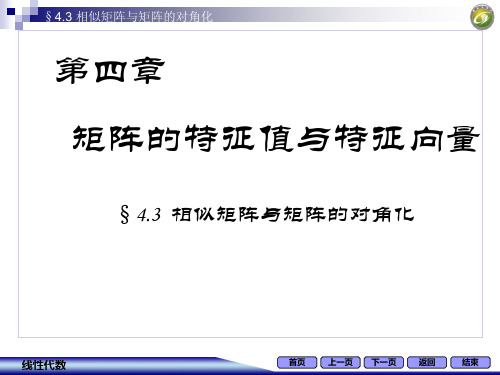 线性代数习题4.3相似矩阵与矩阵的对角化 (1)