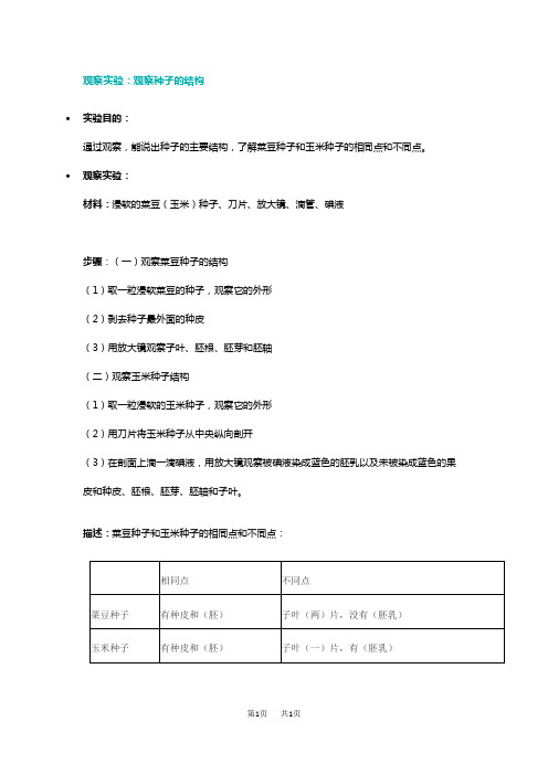 初中生物 观察种子的结构实验