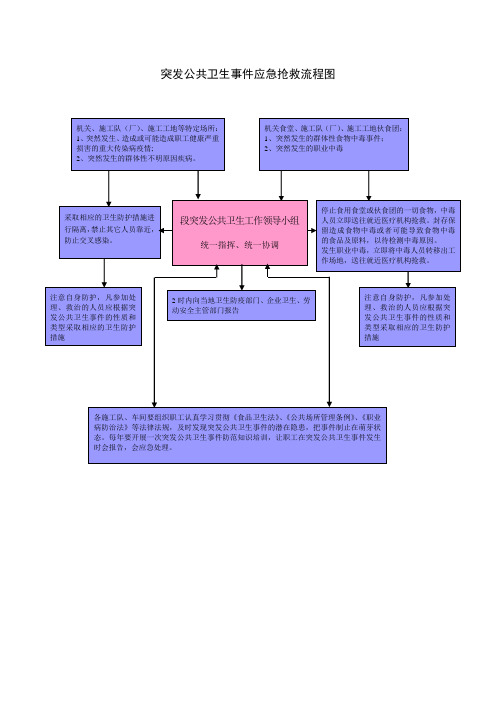 突发公共卫生事件应急抢救流程图