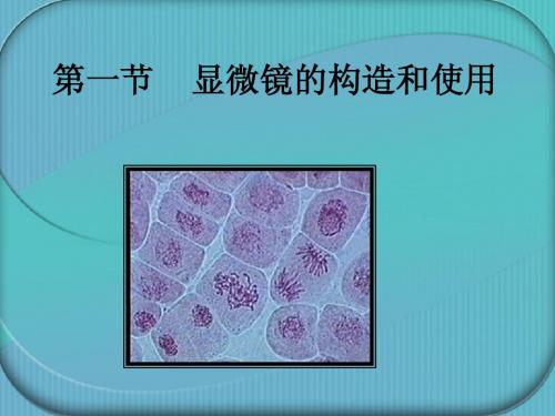第二章,第一节显微镜的构造和使用