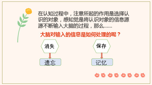 第五章 幼儿的记忆(一)