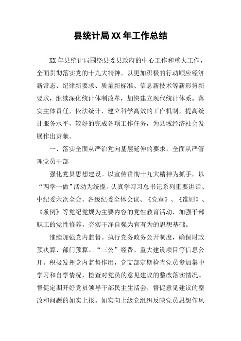县统计局XX年工作总结