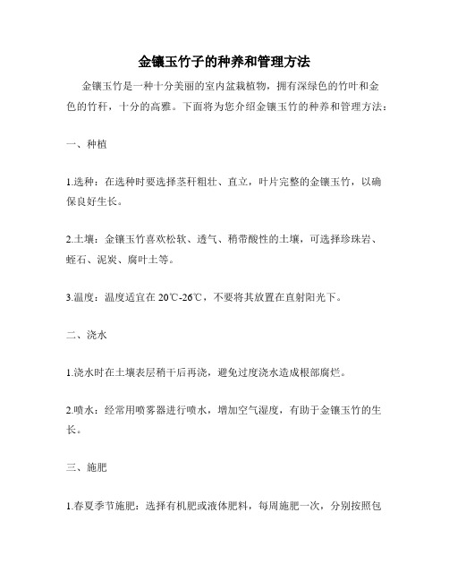 金镶玉竹子的种养和管理方法