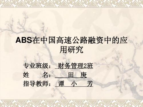 ABS在中国高速公路中的应用研究ppt