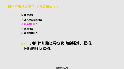 植物组织培养植物组织培养技术愈伤组织的分化与再分化脱分化及形态发生分析PPT课件