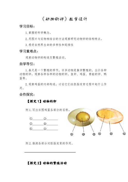 四年级下册科学动物的卵教学设计