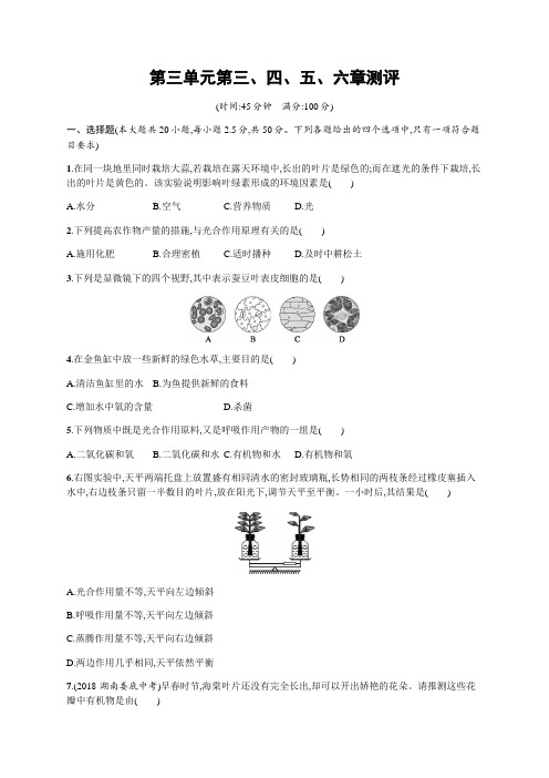 新人教版生物七年级上册第三单元第三、四、五、六章测评