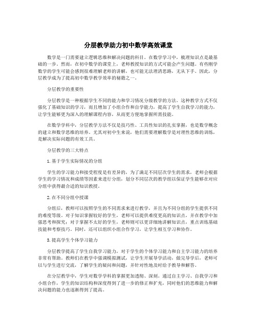 分层教学助力初中数学高效课堂